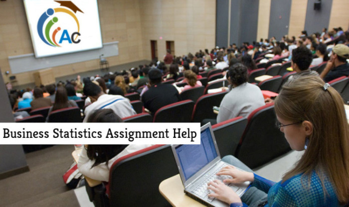 Business Statistics Assignment Help